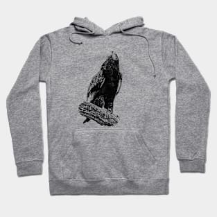 Bateleur Hoodie